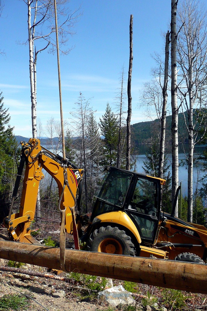 Få hjälp med trädfällning i Norrtälje