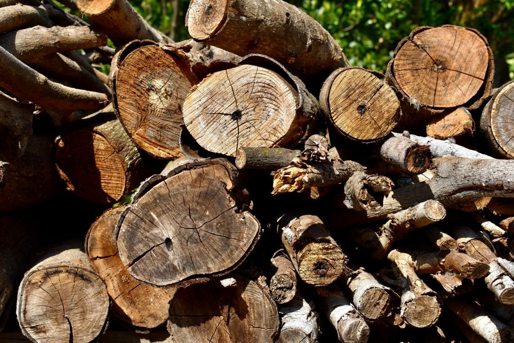 Arborist täby  professionell trädvård för trygga och vackra tomter