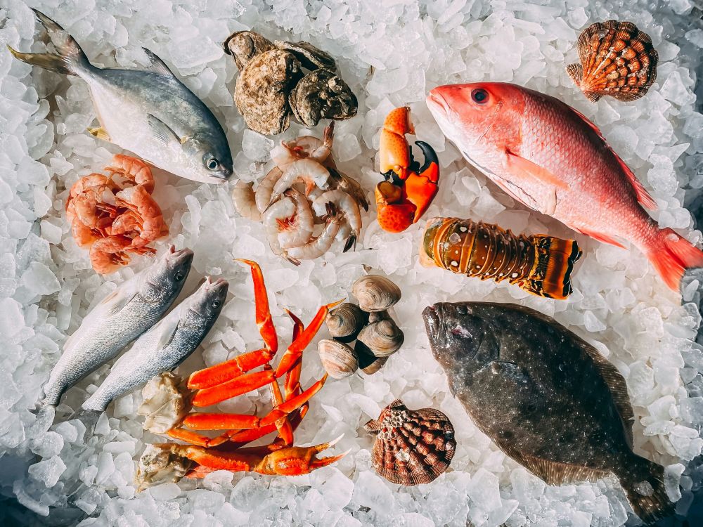 Fisk & skaldjur – smak, kvalitet och färskhet